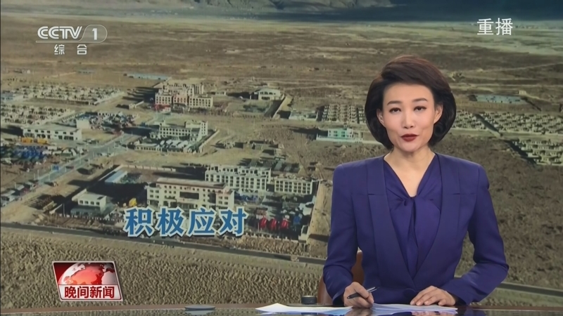 不仅仅是人