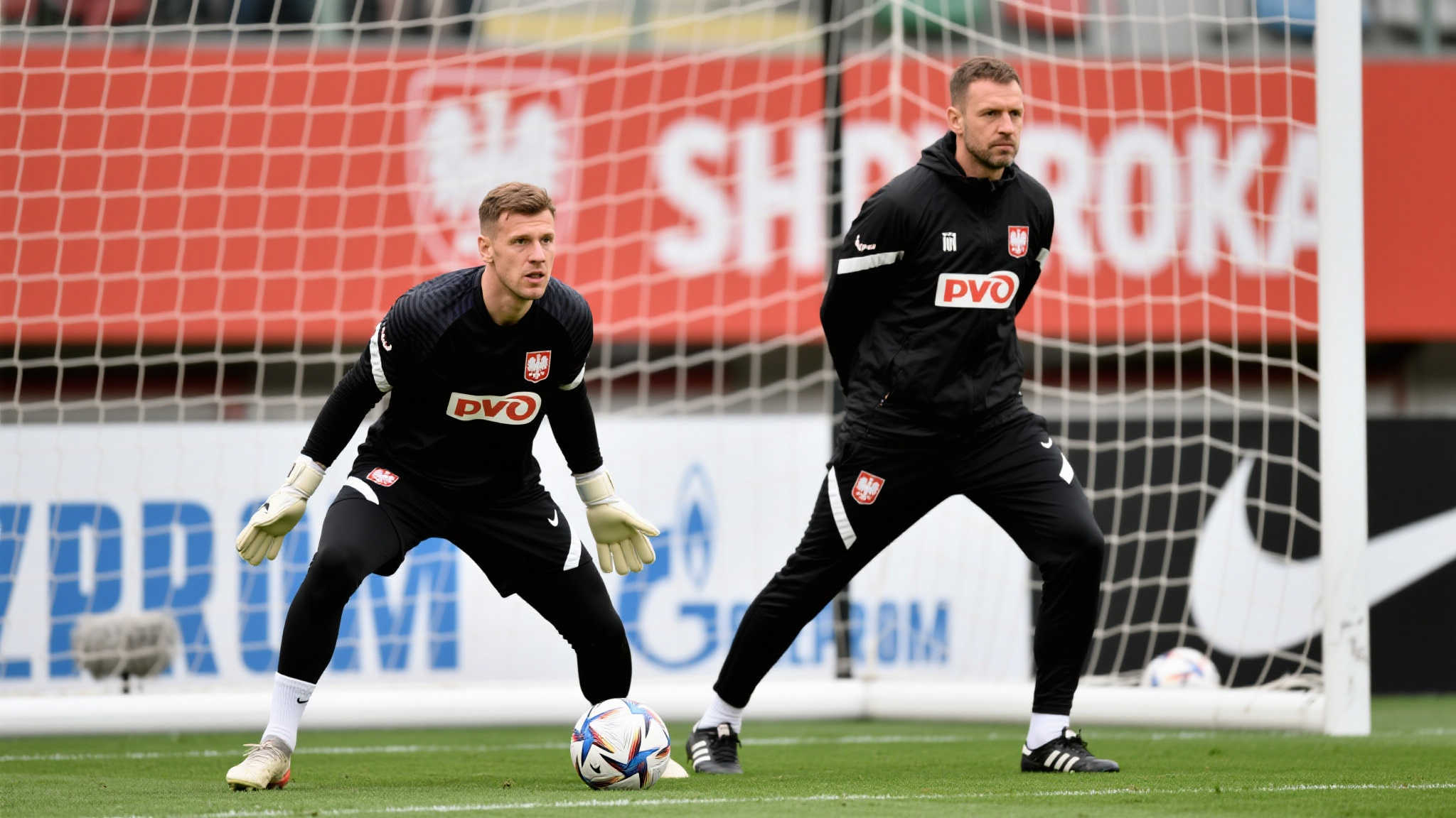 家队的竞争 家队的竞争